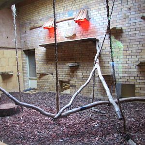 Gibbon pavilion inside