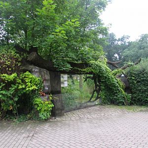 Black Howler and Maned Wolf enclosure - observation window.