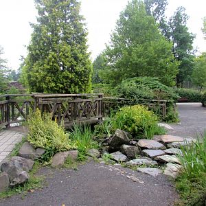 Decorative and green infrastucture