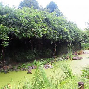 Tamarin and Marmozet exhibits