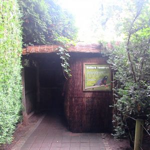 Tamarin and Marmozet pavilion