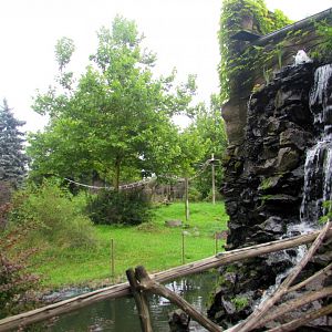View from platform to Gorilla nad Guereza Island