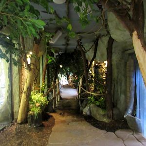 Monkey House inside - 1