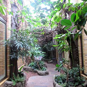 Monkey House inside - 2