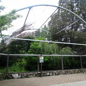 Mountain Lion (Cougar or Puma) enclosure