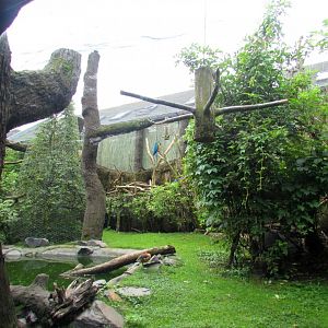 Mixed Aviary - side view