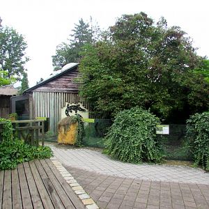 Giant Anteater enclosure and pavilion