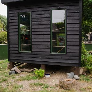 Black-tailed marmoset House
