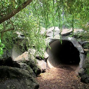 Observation tunnel - wolves enclosure