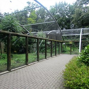 Snow Leopard enclosure