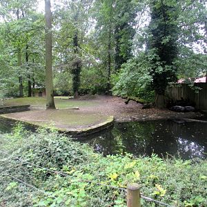 Pygmy Hippo enclosure
