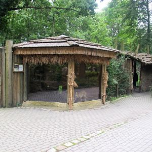 Serval enclosure and hut