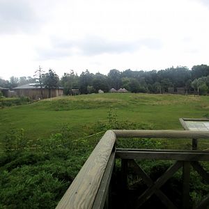 View of the Savanna