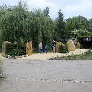 View of the first cheetah enclosure and pavilion