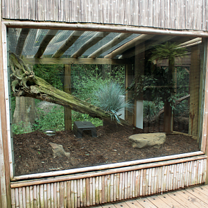 Jul. 2018 - HerpAquarium - New! Komodo Dragon Exhibit