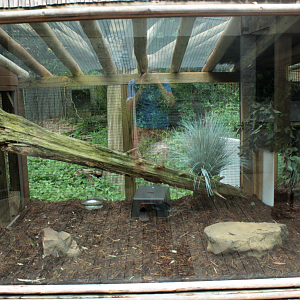 Jul. 2018 - HerpAquarium - New! Komodo Dragon Exhibit