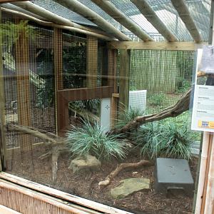 Jul. 2018 - HerpAquarium - New! Komodo Dragon Exhibit