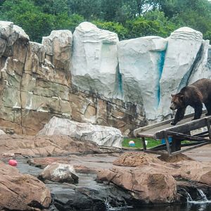 Jul. 2018 - Glacier Run - Rotational Main Bear Exhibit