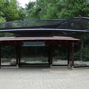 Jul. 2018 - Islands - Penguin Cove (New 2016)