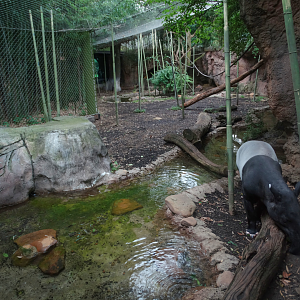 Jul. 2018 - Islands - Middle Rotational Exhibit (5 Species)