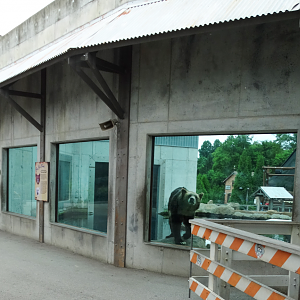 Jul. 2018 - Glacier Run - Main Bear Exhibit Viewing