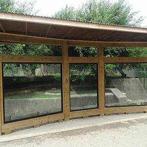 Jul. 2018 - Africa - New Glass Viewing (Lion Exhibit)