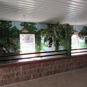 Small Animal Building - Gator/Turtle Exhibits