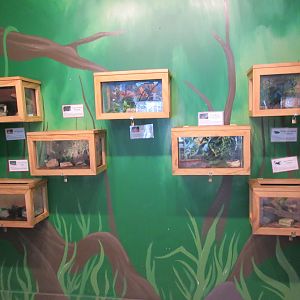 Small Animal Building - Invertebrate Terrariums