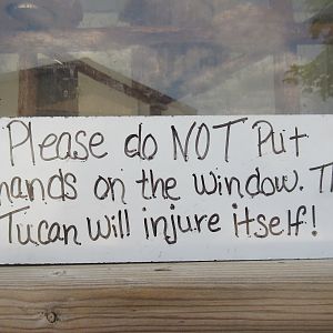 Tu Can or Not Tu Can?