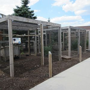 Assorted Aviaries