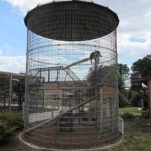 Coati Corn Crib Cage (Crap!)