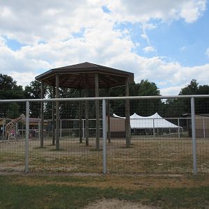 Reticulated Giraffe Exhibit
