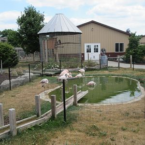 Flamingo Pool (very small)