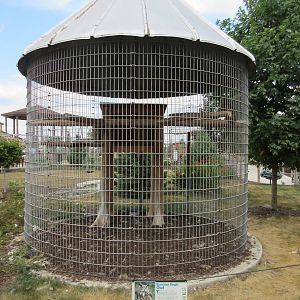 Eurasian Eagle Owl Exhibit (corn crib cage)