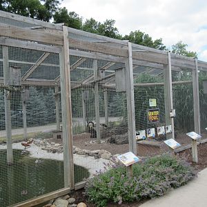 Waterfowl Aviary
