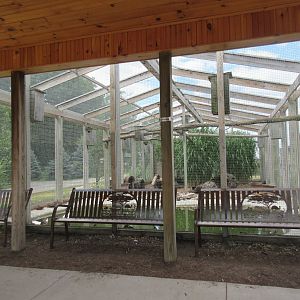 Waterfowl Aviary