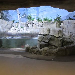 Living Shores Aquarium