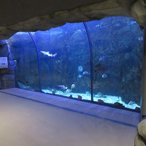 Living Shores Aquarium