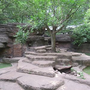 North American River Otter Exhibit