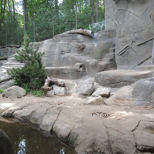 Grizzly Bear Exhibit