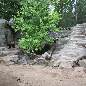 Grizzly Bear Exhibit