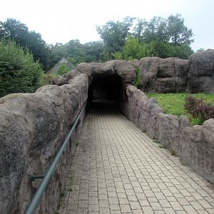 Road to the California Sea Lion pool