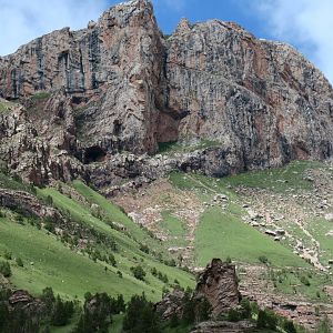 Grazing land of blue sheep and white-lipped deer