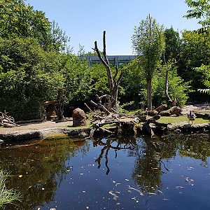 Pantanal; tapir, capibara, anteater & friends enclosure: Section 1, viewpoint 2