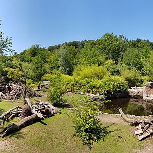 Pantanal; tapir, capibara, anteater & friends enclosure: Main section, viewpoint 1 panorama