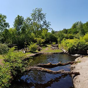 Pantanal; tapir, capibara, anteater & friends enclosure: Main section, viewpoint 2 panorama