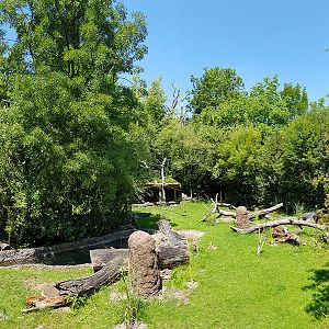 Pantanal; tapir, capibara, anteater & friends enclosure: Section 3, viewpoint 1 panorama