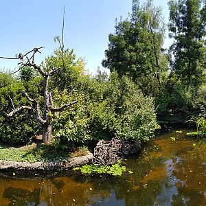Pantanal: Ranger's hut outlook on monkey islands panorama