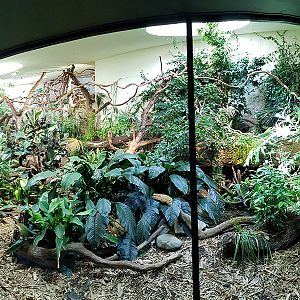 Pantanal: Black-capped squirrel monkey house, indoor holding panorama
