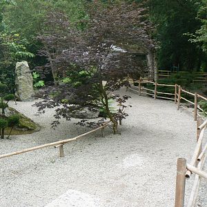 View of Garden - 11 July 2018